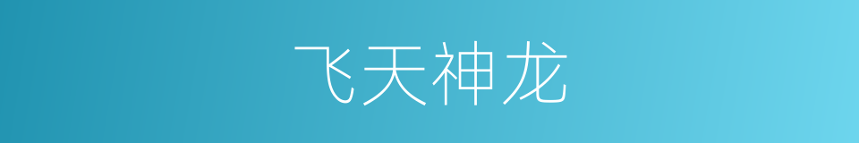 飞天神龙的同义词