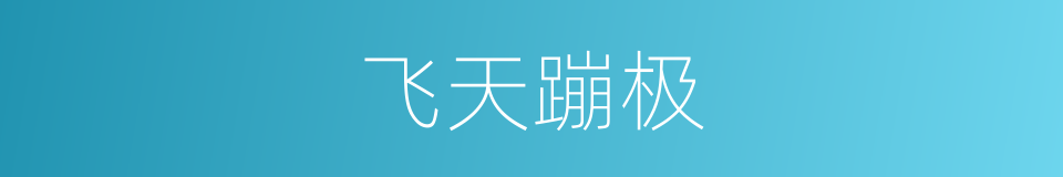 飞天蹦极的同义词