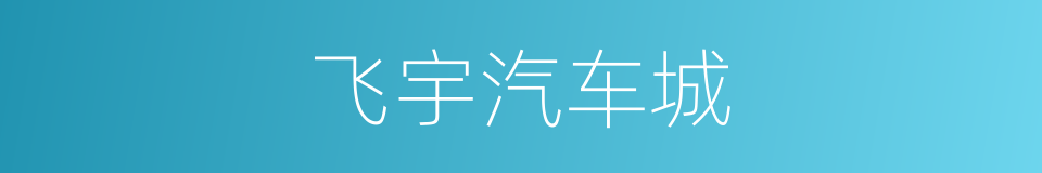 飞宇汽车城的同义词
