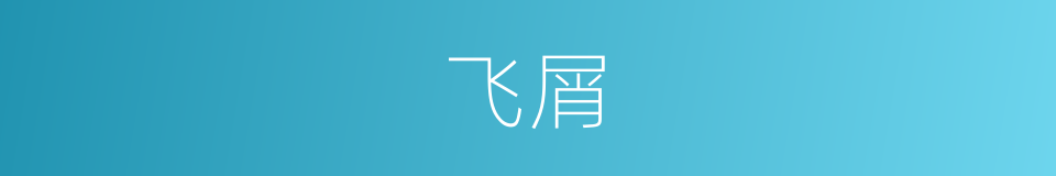 飞屑的同义词