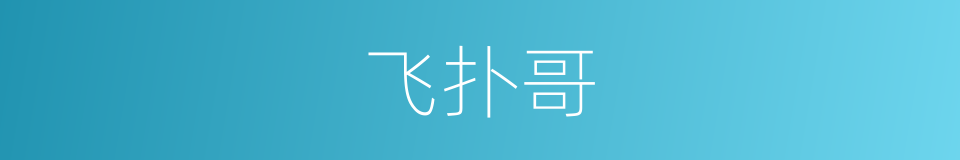 飞扑哥的同义词