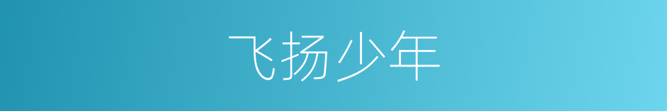 飞扬少年的同义词