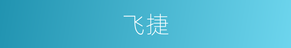 飞捷的意思