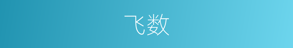 飞数的同义词