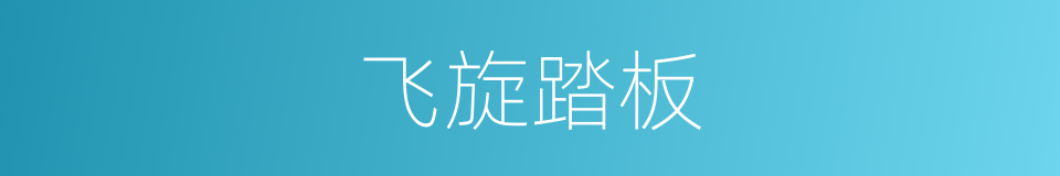 飞旋踏板的同义词