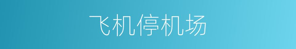 飞机停机场的同义词