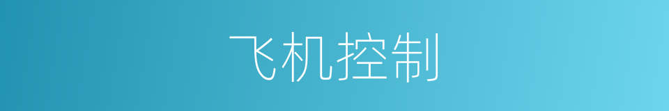 飞机控制的同义词