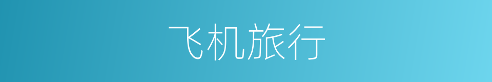 飞机旅行的同义词