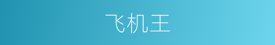 飞机王的同义词