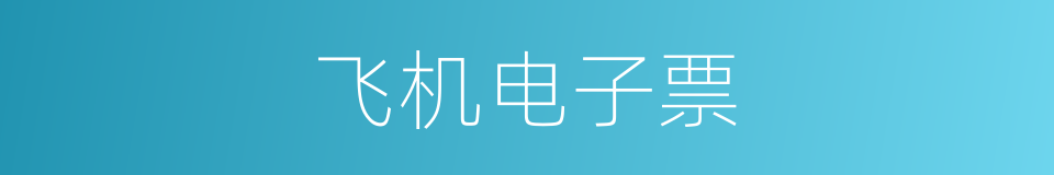 飞机电子票的同义词