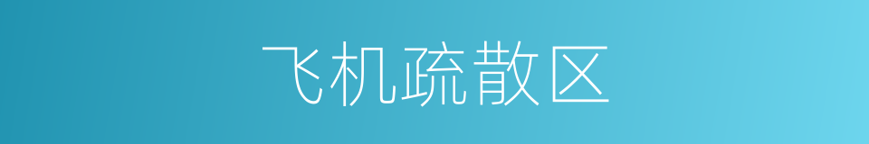 飞机疏散区的同义词