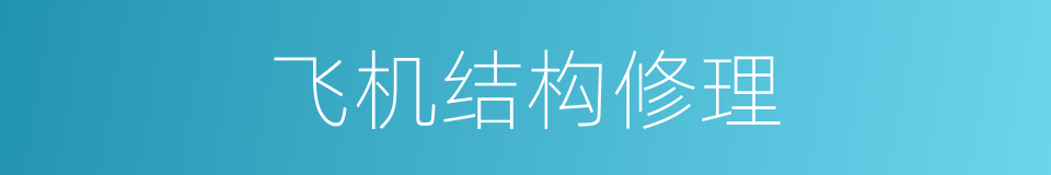 飞机结构修理的同义词