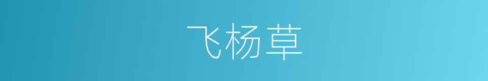 飞杨草的同义词