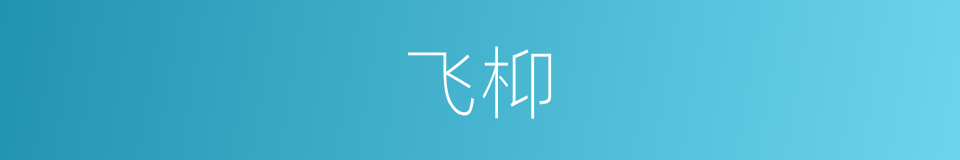 飞枊的意思