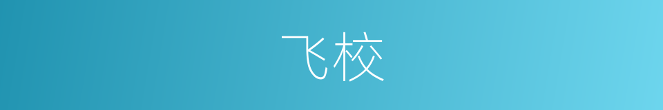 飞校的同义词