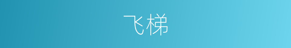 飞梯的意思