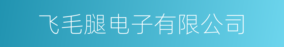 飞毛腿电子有限公司的同义词