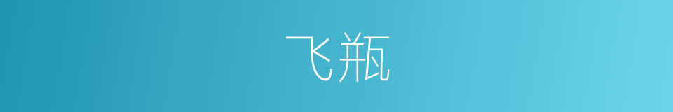 飞瓶的同义词