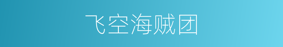 飞空海贼团的同义词