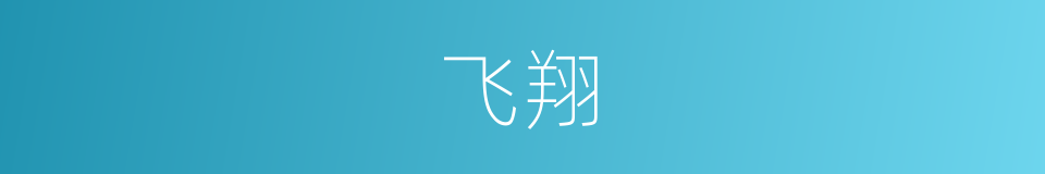 飞翔的意思