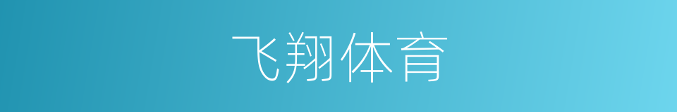 飞翔体育的同义词