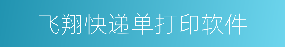 飞翔快递单打印软件的同义词