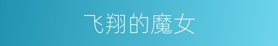 飞翔的魔女的同义词