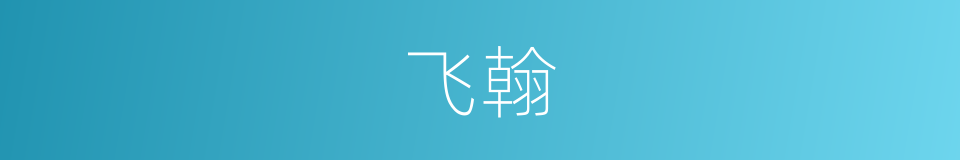 飞翰的意思