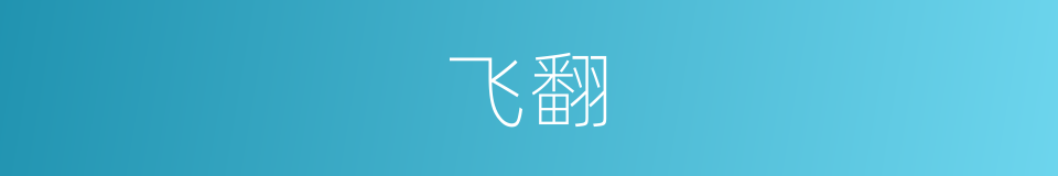 飞翻的意思