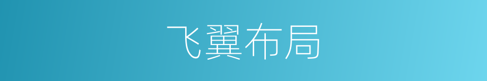 飞翼布局的同义词