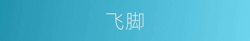 飞脚的意思