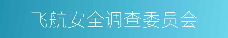 飞航安全调查委员会的同义词