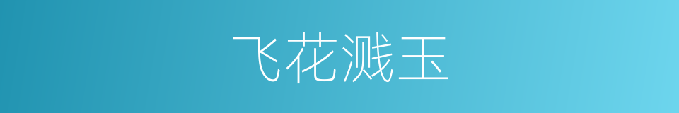 飞花溅玉的同义词