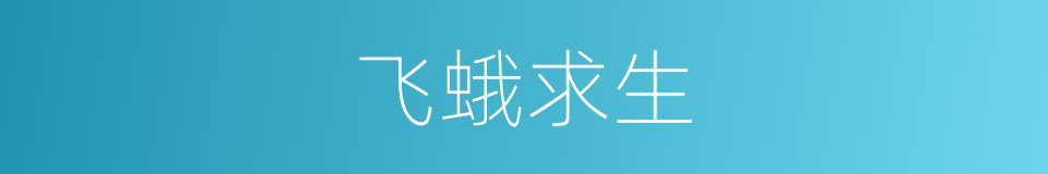 飞蛾求生的同义词
