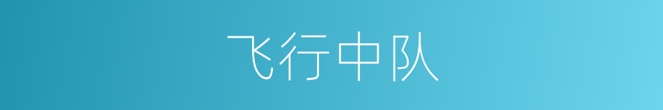 飞行中队的同义词