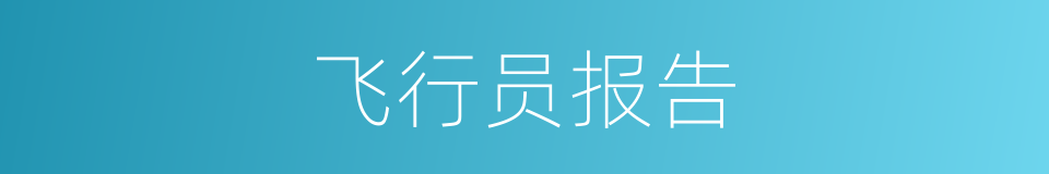 飞行员报告的同义词