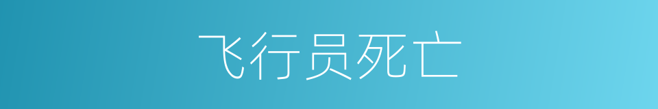 飞行员死亡的同义词