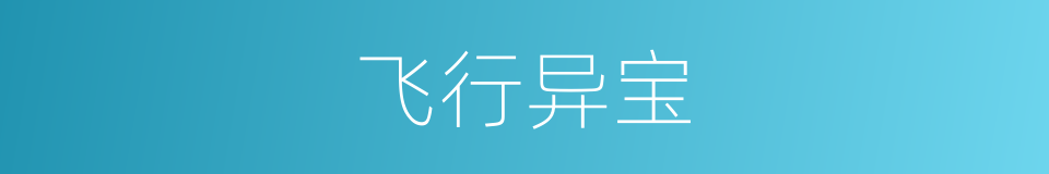 飞行异宝的同义词