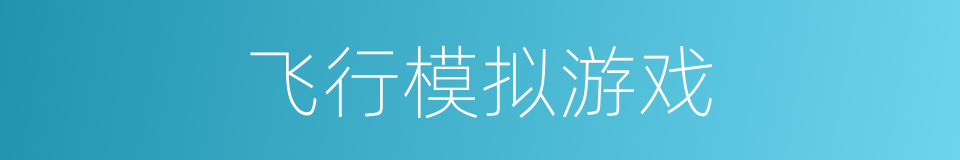 飞行模拟游戏的同义词
