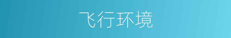 飞行环境的同义词