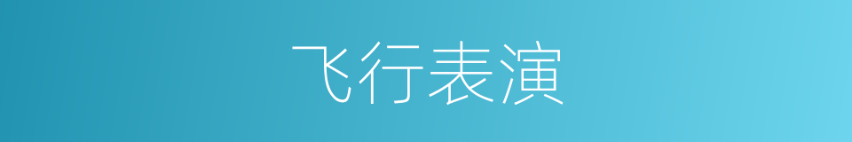 飞行表演的同义词