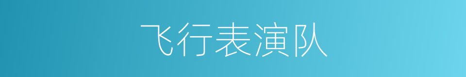 飞行表演队的意思