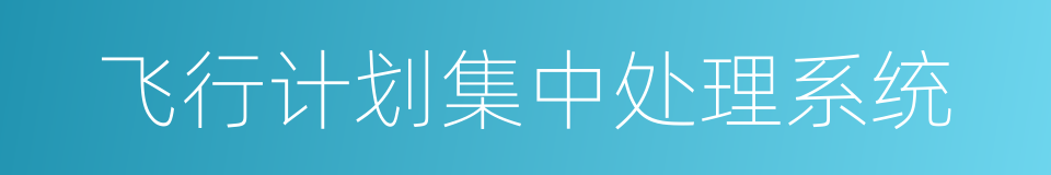 飞行计划集中处理系统的同义词