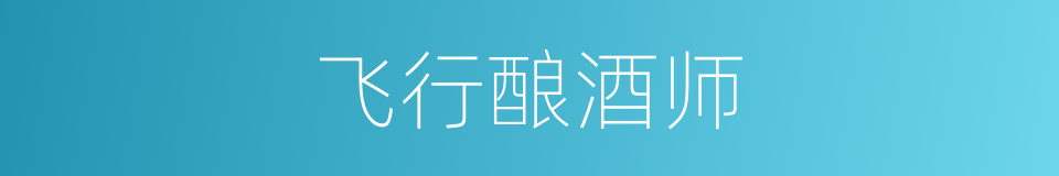 飞行酿酒师的同义词