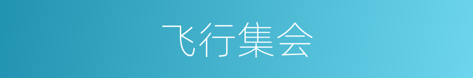 飞行集会的意思