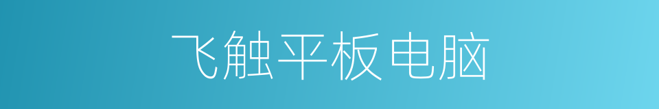 飞触平板电脑的同义词