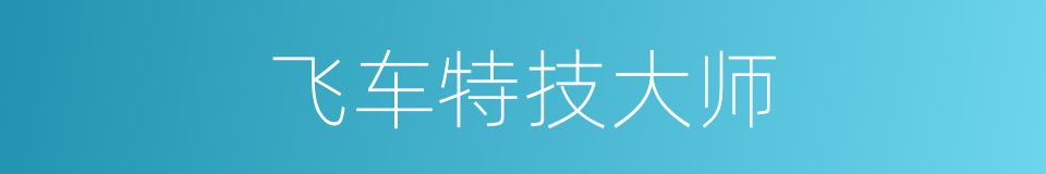 飞车特技大师的同义词