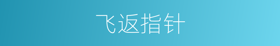 飞返指针的同义词
