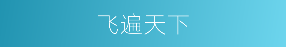 飞遍天下的同义词