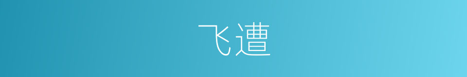 飞遭的同义词